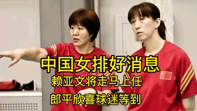 中国女排突传好消息,52岁赖亚文有望走马上任,郎平欢喜