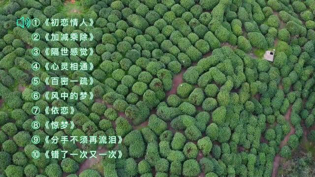 10首刘小慧经典粤语歌曲《初恋情人》