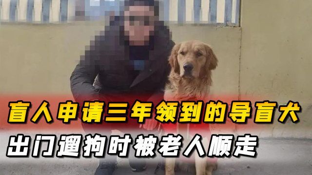 盲人申请三年领到的导盲犬,被老人顺走,知情人:训练成本近20万元