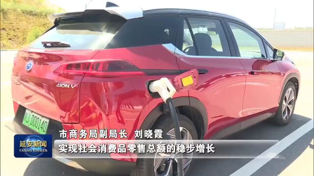 延安:购买新能源汽车最高补贴5000元