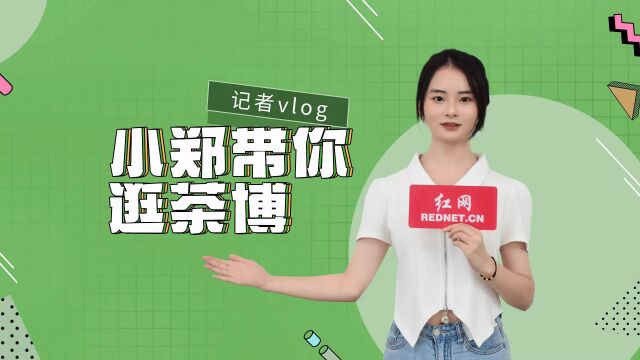 小郑带你逛茶博④|理想华莱:产品创新成果荟萃 科技+时尚为关键词