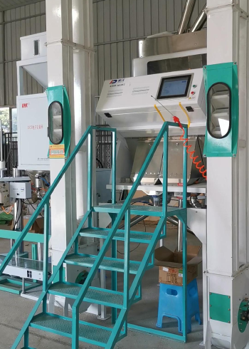 色选机 6sxm-160jm2大米色选机 选色机器设备