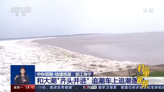 浙江海宁:和大潮“齐头并进”,追潮车上追潮逐浪