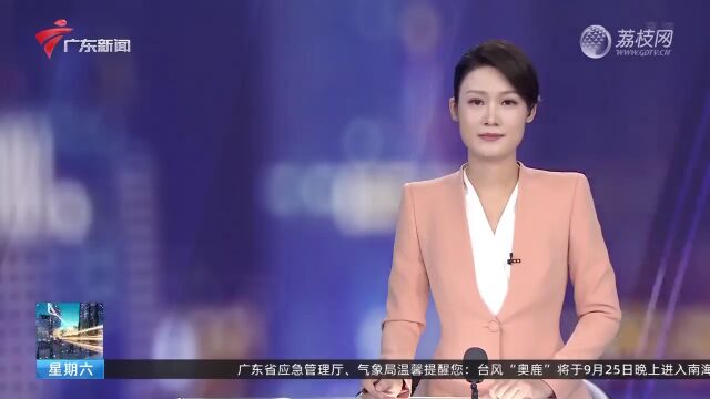 巧手艺人|90后女生用果壳海螺 搭建童话梦幻小屋