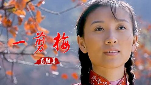 怀旧金曲！高胜美一首《一剪梅》太经典了，至今无人超越