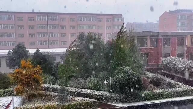 河北多地下雪!唐山最低9℃!