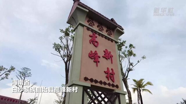 海南白沙:丰收不停季 生态移民新村“种下”幸福