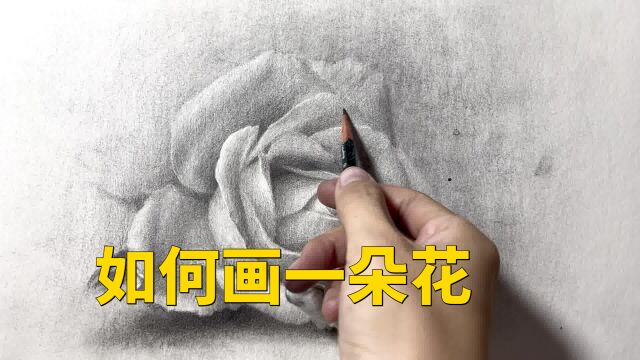 还在发愁素描的花怎么画吗?其实一朵漂亮的花可以这样完成呢