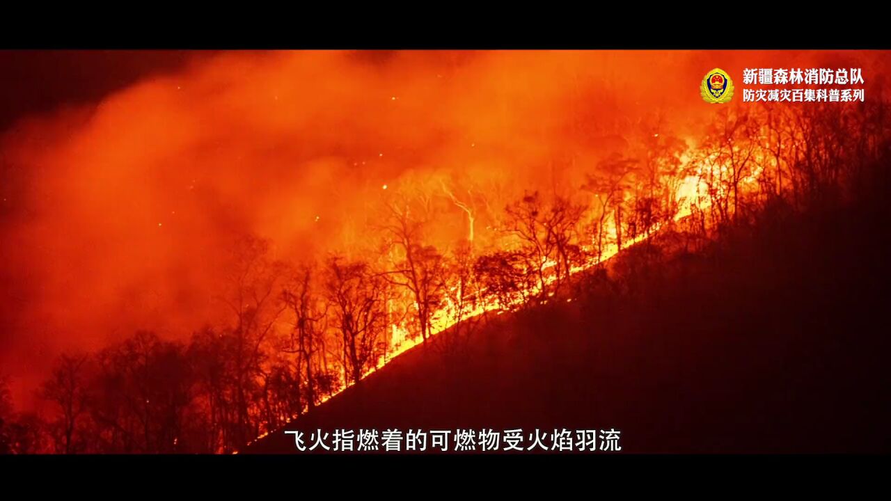防灾减灾科普博览|森林火灾安全“警示录”(五)极端危险的林火类型_高清1080P在线观看平台_腾讯视频