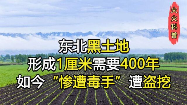 东北黑土地,每年只种一季,为什么产量排名全国第一?