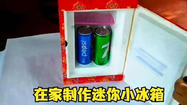 农村牛人教你如何在家制作迷你小冰箱,太不可思议了