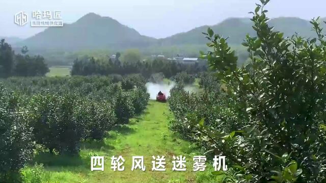 疫情背景下的突围之路:在保障质量的前提下,让服务无限放大