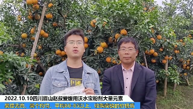 大量元素水溶肥四川眉山赵叔爱媛柑橘用夫沃施沃水宝粉剂大量元素,果皮光亮,果个均匀,平均8085以上,收购商给的价格高