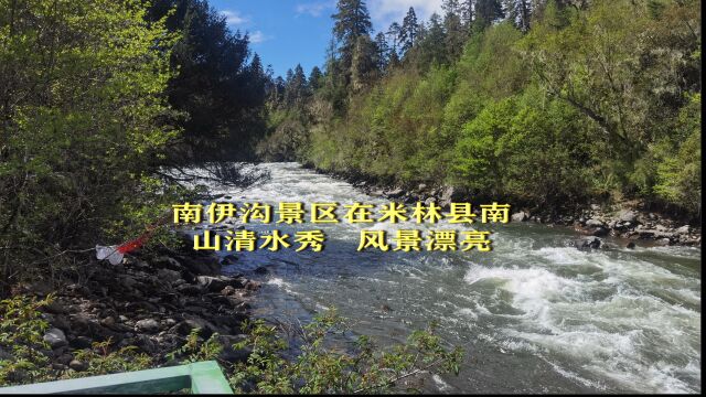 百日自驾2(51)南伊沟景区在米林县南,山清水秀,风景极为漂亮