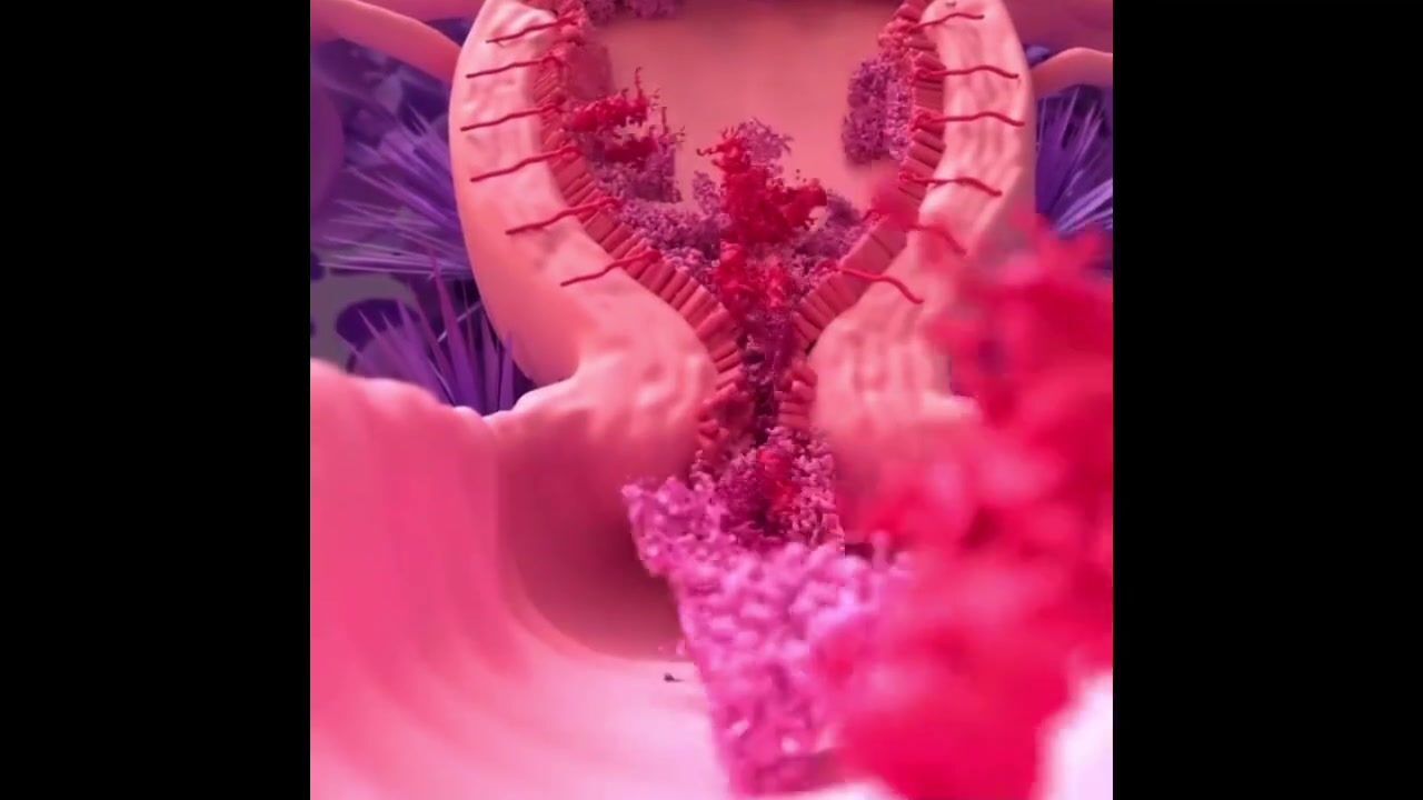 月经是怎么形成的_腾讯视频