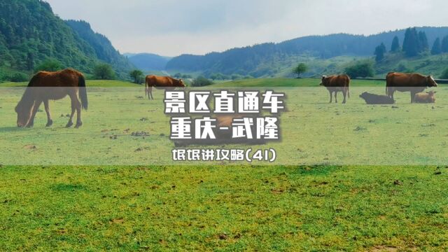 氓氓讲攻略(41)重庆武隆景区直通车愉客行