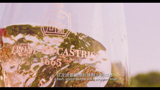 Leone de castris 酒庄宣传片