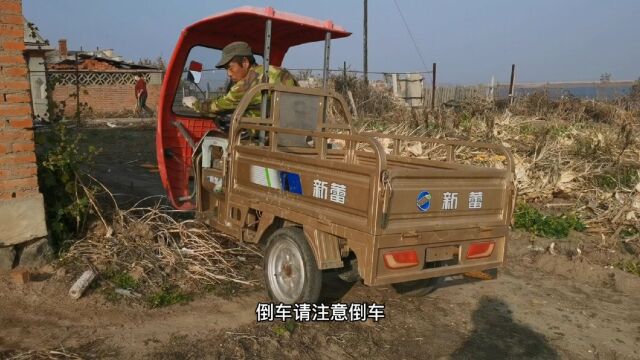 东北农村到了扒苞米的季节,跟老爸爸扒一上午苞米,拉了两小车