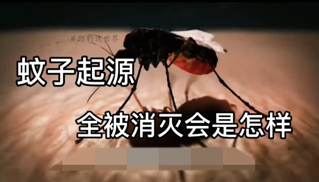 吸血的蚊子其实全是母蚊子,蚊子存在的目的是什么,蚊子起源