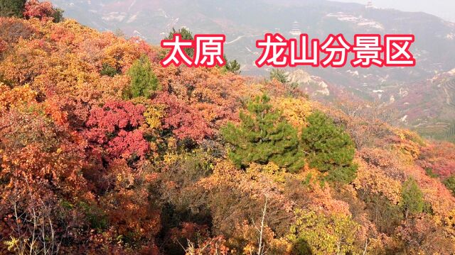 太原龙山红叶,龙山风景区赏红叶路线攻略