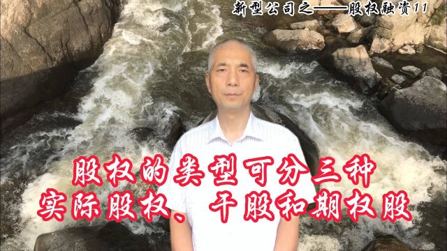 股权的类型可分三种:实际股权、干股和期权股