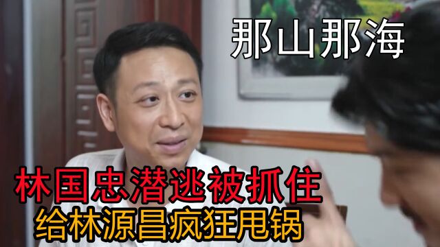 那山那海:林国忠潜逃被抓住,入狱前给林源昌疯狂甩锅,谁料却惨遭打脸