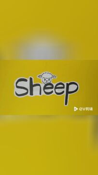 微课 sheep