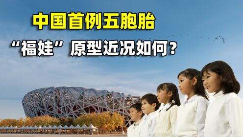 中国首例五胞胎,奥运“福娃”原型,20年过去他们近况如何?_高清1080P在线观看平台_腾讯视频