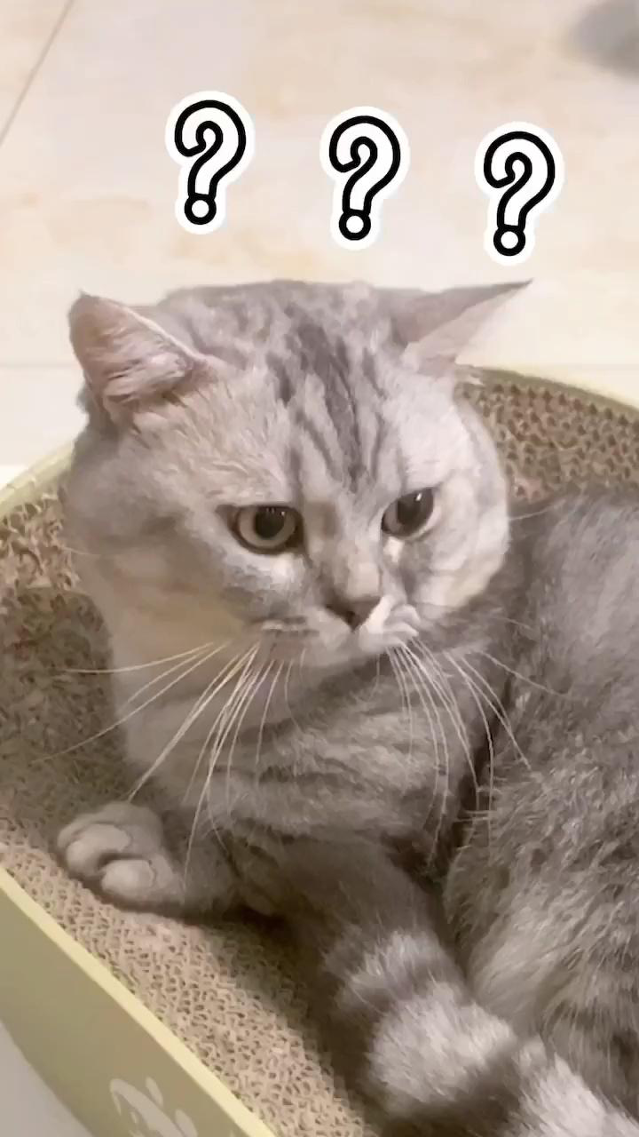 布丁:你以为你很幽默_腾讯视频