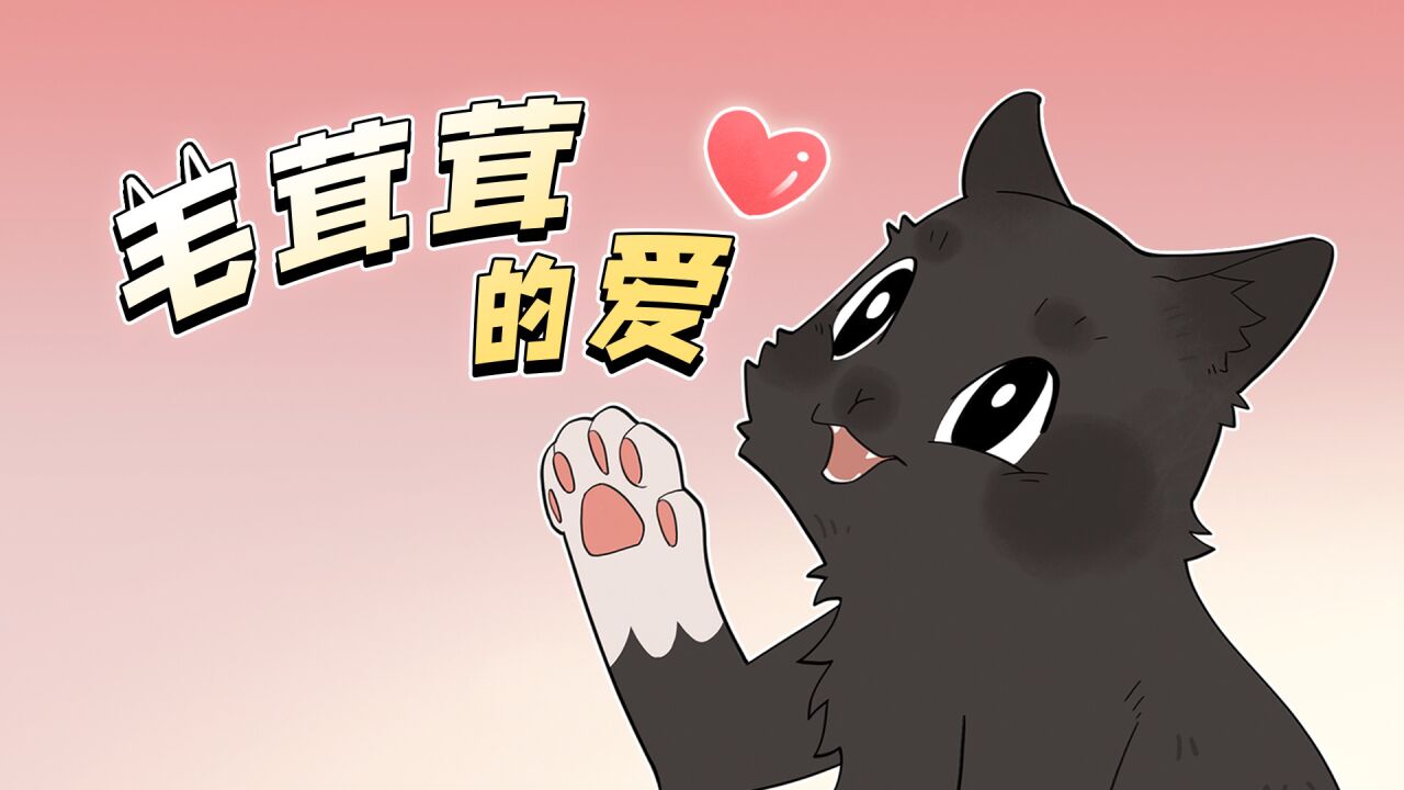 喵~叮咚!你有一份笨蛋小猫的爱意请查收_腾讯视频}