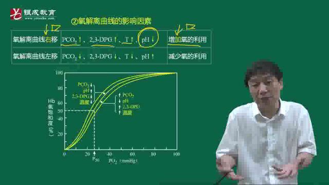 2023最新 老贺 执业医师 贺银成 临床执业(助理)医师 视频课程 全部有