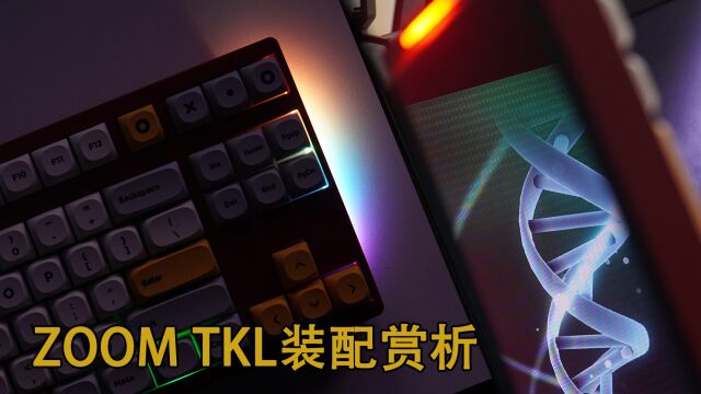 渐变背板 RGB侧灯确实帅,ZOOM TKL装配赏析