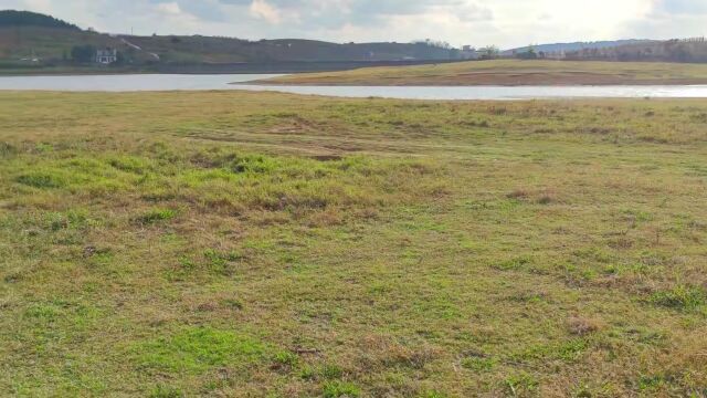 本周日:“红枫湖”金草滩、环境人像 第一期