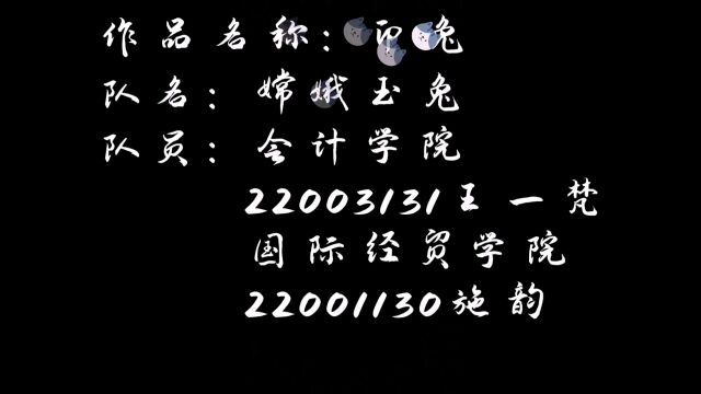 卯兔 会计学院22003131王一梵 国际经贸学院22001130施韵 嫦娥玉兔