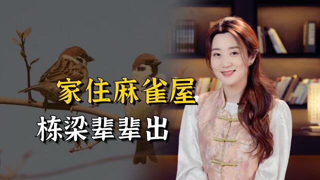 俗语“家住麻雀屋,栋梁辈辈出”,麻雀屋是什么?有道理吗?