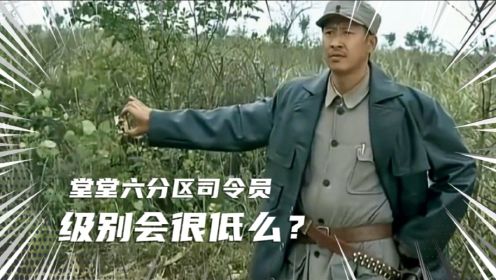 在《我的兄弟叫顺溜》中，六分区司令员陈大雷到底是何级别！