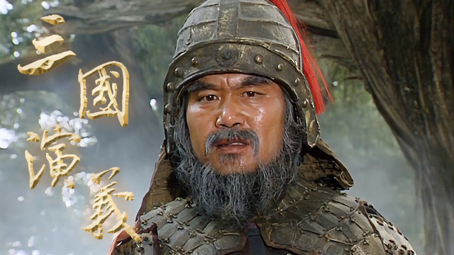 三国演义: 邓艾率兵偷渡阴平 钟会领兵正面强攻剑阁