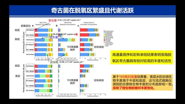 近海脱氧水体中微生物的碳氧代谢机制—转录证据 韩昱博士 /厦门大学