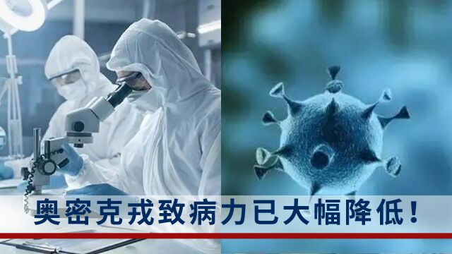 国内科研团队实验验证:奥密克戎致病力已大幅降低