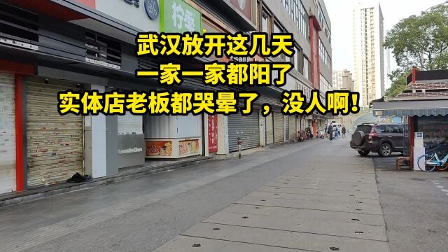 武汉放开这几天,一家一家都阳了,实体店老板都哭晕了,没人啊!