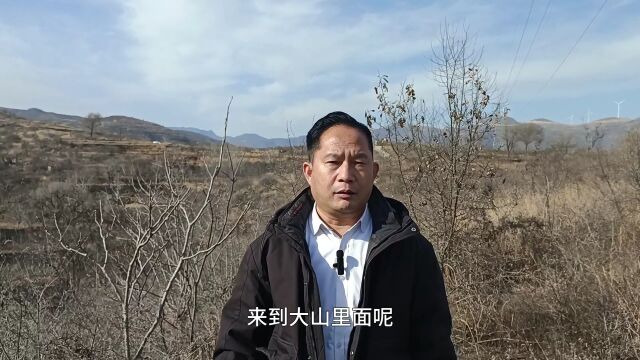 弘扬国学经典文化 山形山势