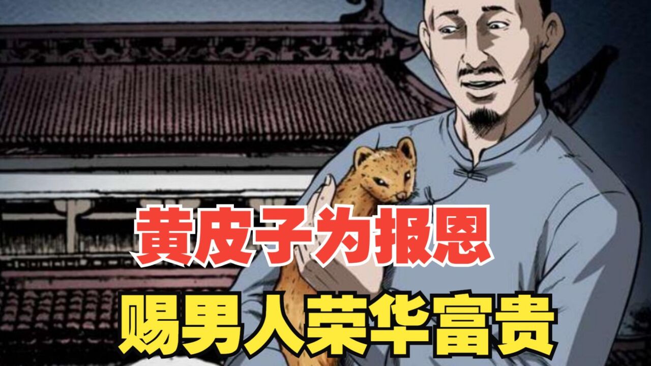 番茄小shuo《那些美丽的传说》_男人救了一只黄皮子,为了报恩,黄皮子赐男人后半生荣华富贵!_高清1080P在线观看平台_腾讯视频