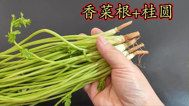 香菜根加桂圆