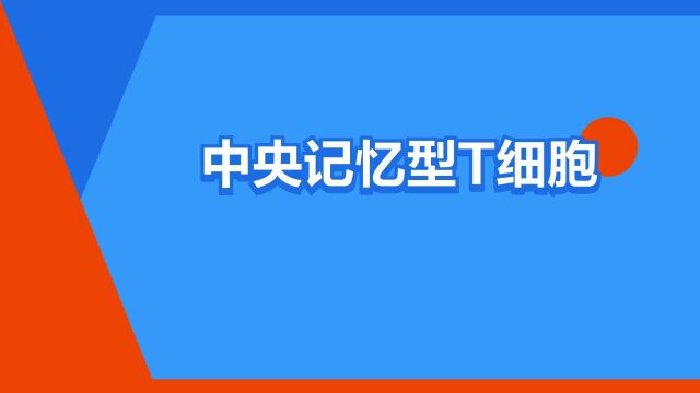 “中央记忆型T细胞”是什么意思?