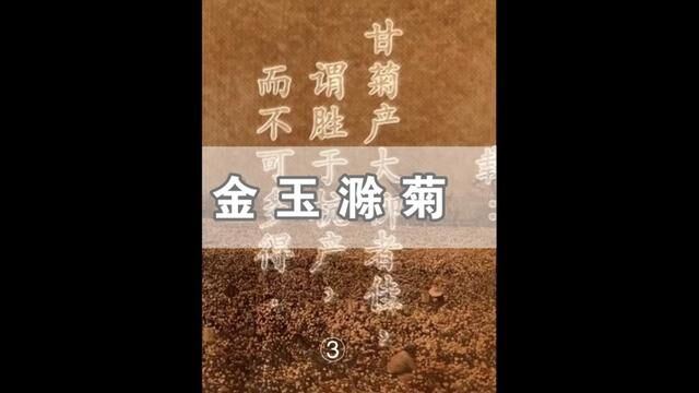 你知道滁州的市花吗?#绿色生态农业 #文化旅游 #乡村振兴 #我为家乡农产品代言