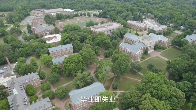 一个大学生的心声