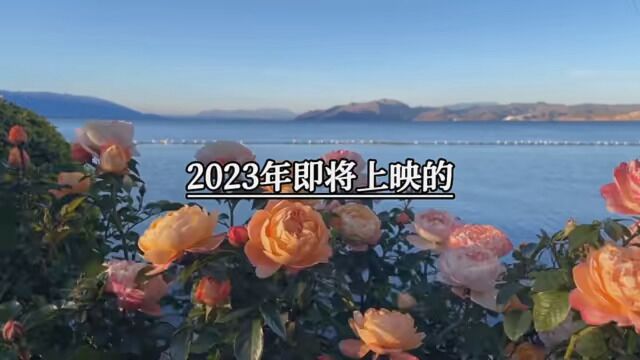 2023年即将上映的五部国漫大电影,喜欢建议收藏,一、熊出没之伴我雄心二,2丶斗罗大陆之三神大战