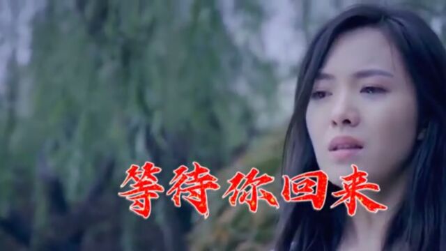 等待你回来(MV)—隆鑫飞歌