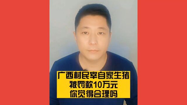 宰杀自家生猪,被罚十万,你觉得合理吗?