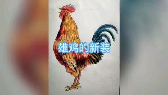 公鸡怎么画?看《雄鸡的新装》用彩铅画个大公鸡